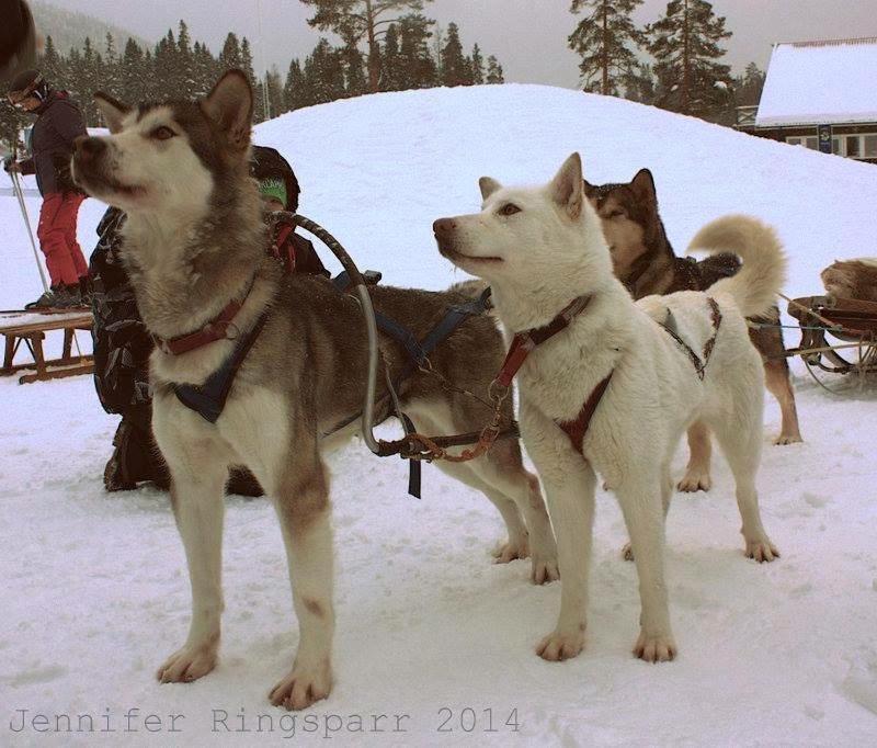 Stuga Saelen Klaeppen 5 Baeddar Uthyres Veckovis Soendag - Soendag Exterior foto